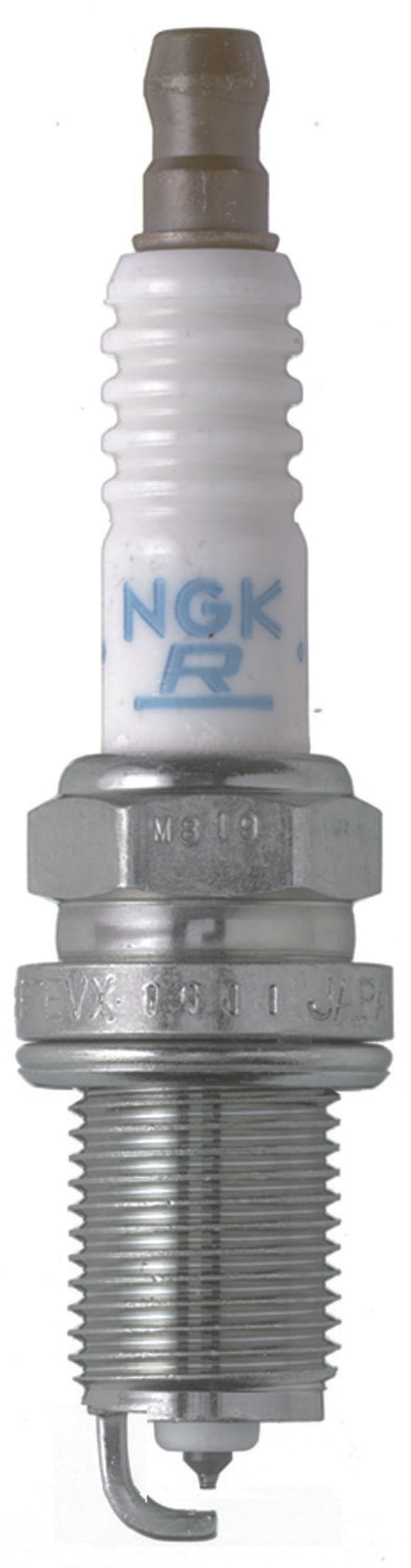 NGK Double Platinum Spark Plug Box of 4