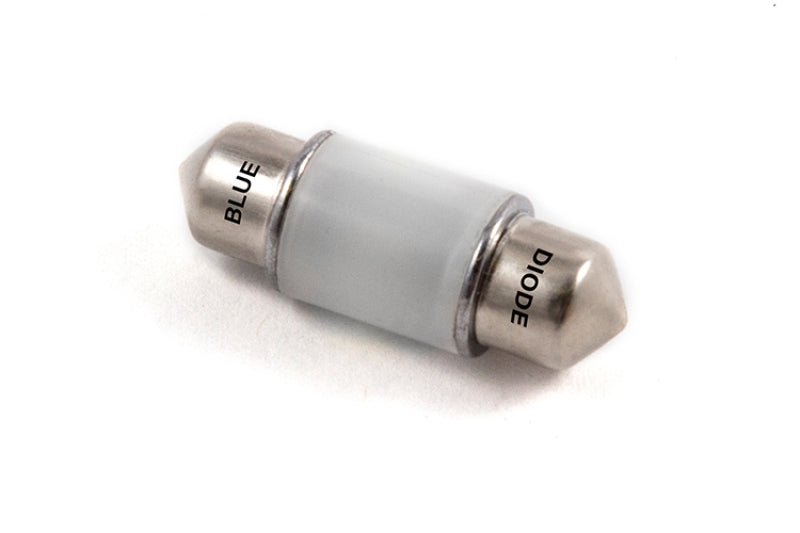 Diode Dynamics 31mm HP6 LED Bulb LED - Blue