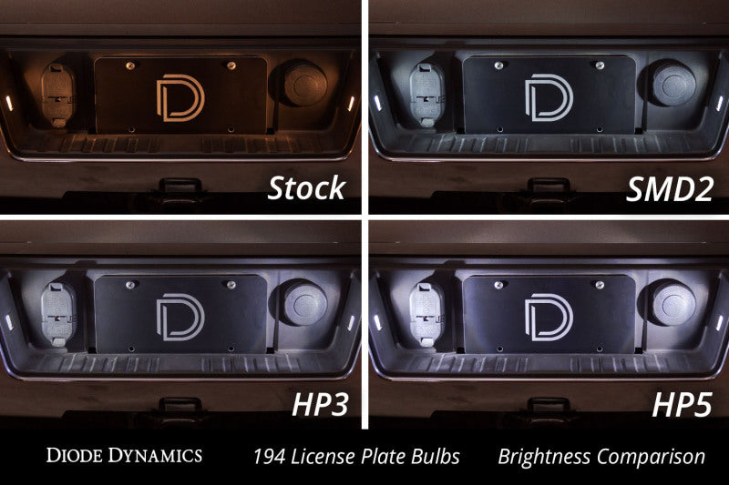 Diode Dynamics 194 LED Bulb SMD2 LED Warm - White - view 3