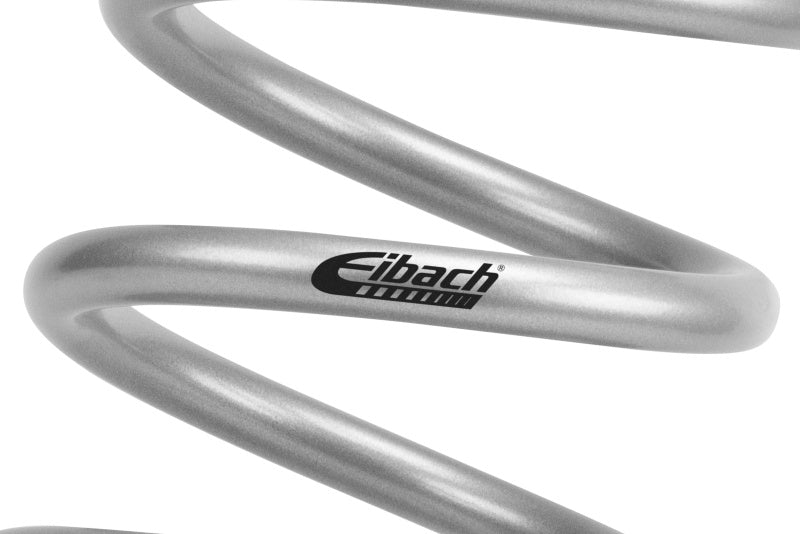 Eibach Pro-Lift Kit - view 4