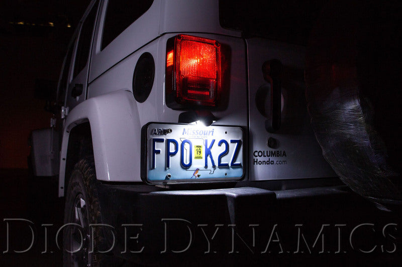 Diode Dynamics 194 LED Bulb SMD2 LED Warm - White - view 4