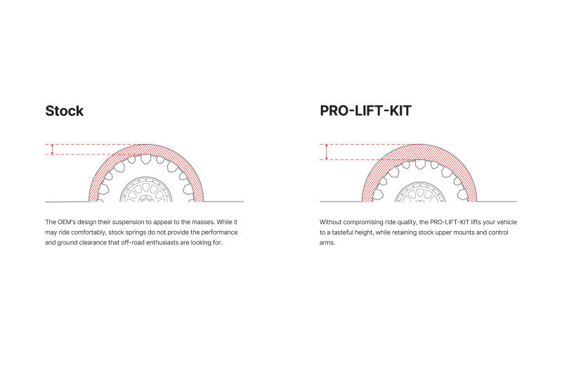 Eibach Pro-Lift Kit - view 3